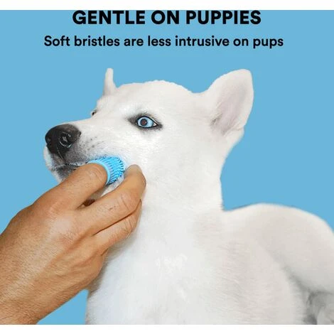 Set Di Spazzolini Da Dito, Design Ergonomico, Setole Avvolgenti Per Una Facile Pulizia Dei Denti, Cure Dentistiche - immagine 5