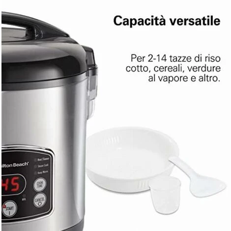 Hamilton Beach 37541-CE Cuociriso, 700 W, 4.7 Litri, Inossidabile, Acciaio Inox - immagine 4